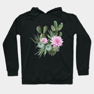 Cactus succulents plants watercolor flower Hoodie